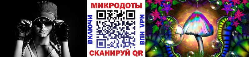 Псилоцибиновые грибы мицелий  мега зеркало  Бирюсинск 
